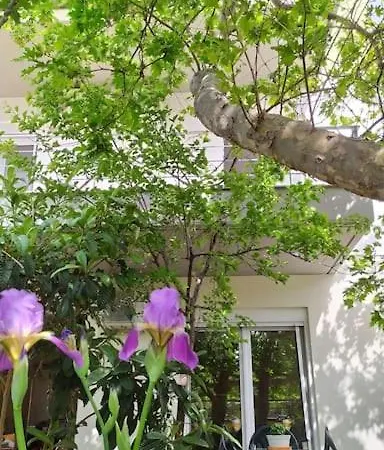 Studio In Kirra, Ancient Port Of Delphi Near The Beach * Kirra